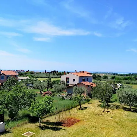 7 Palmi Novigrad Apartment Novigrad  Exterior photo