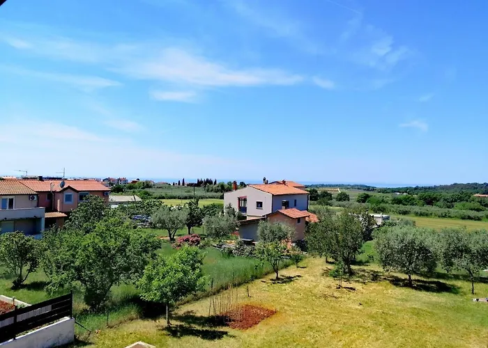 7 Palmi Novigrad