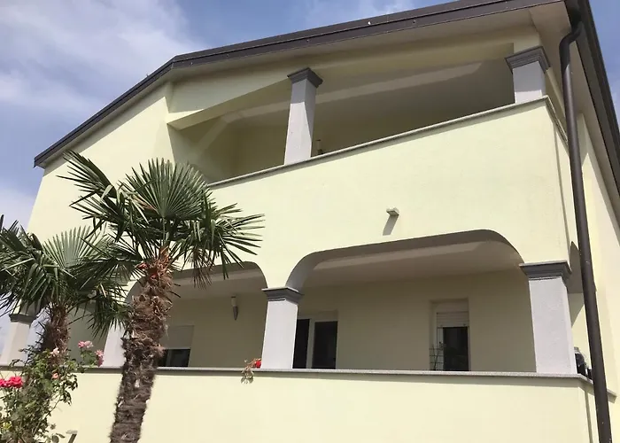 7 Palmi Novigrad