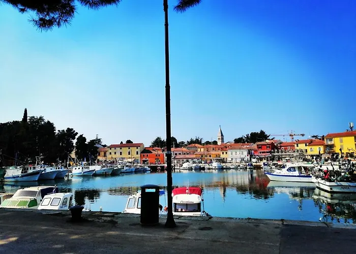 7 Palmi Novigrad