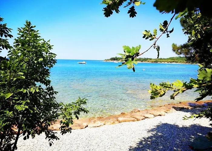 7 Palmi Novigrad