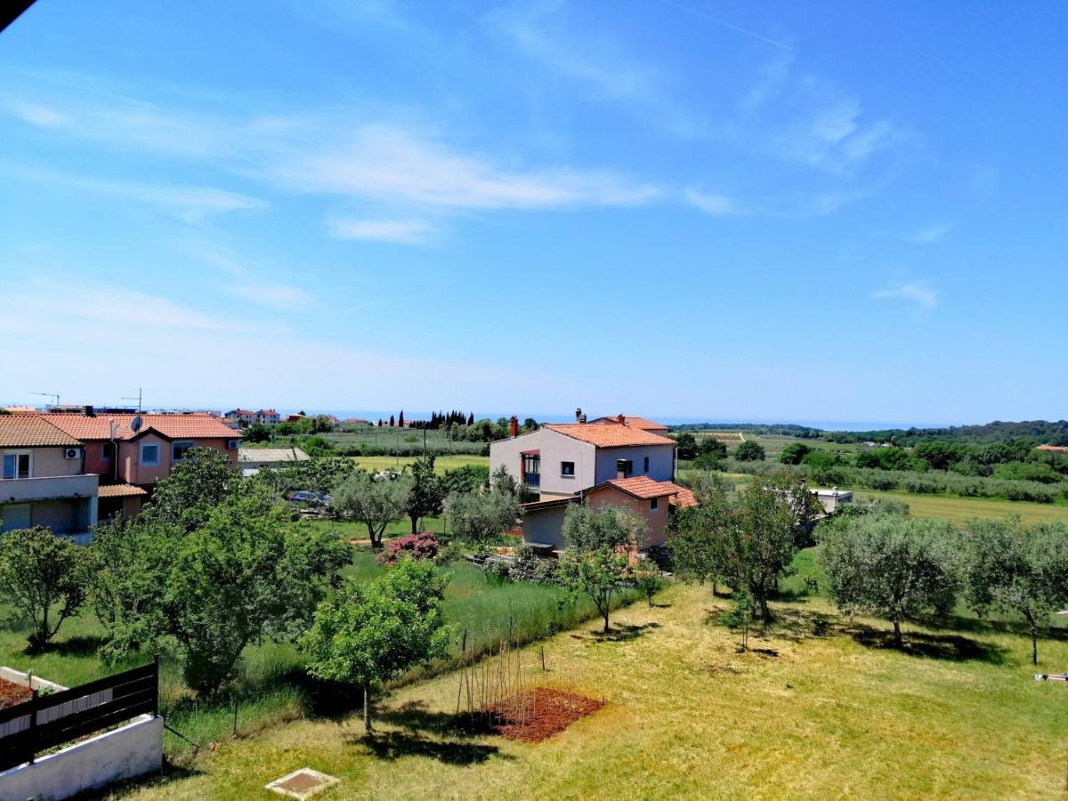 7 Palmi Novigrad