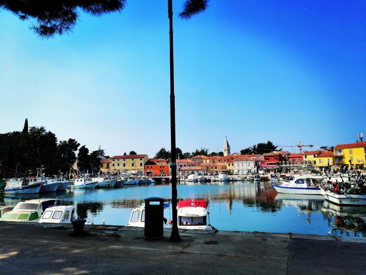 7 Palmi Novigrad *