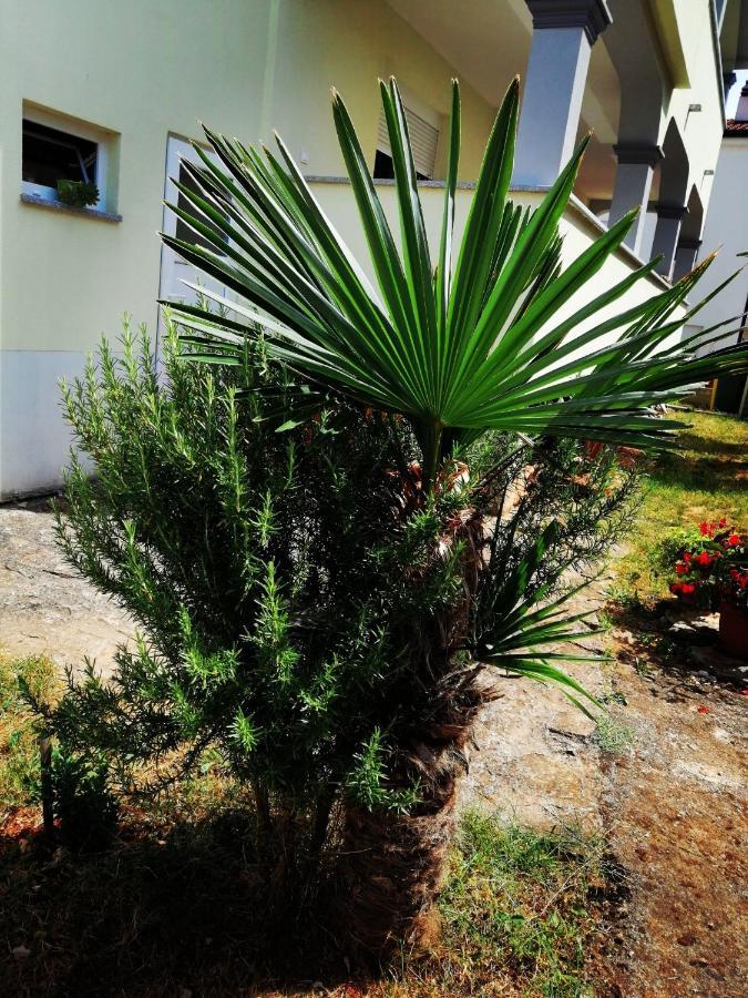 7 Palmi Novigrad Apartment Novigrad (Istria)